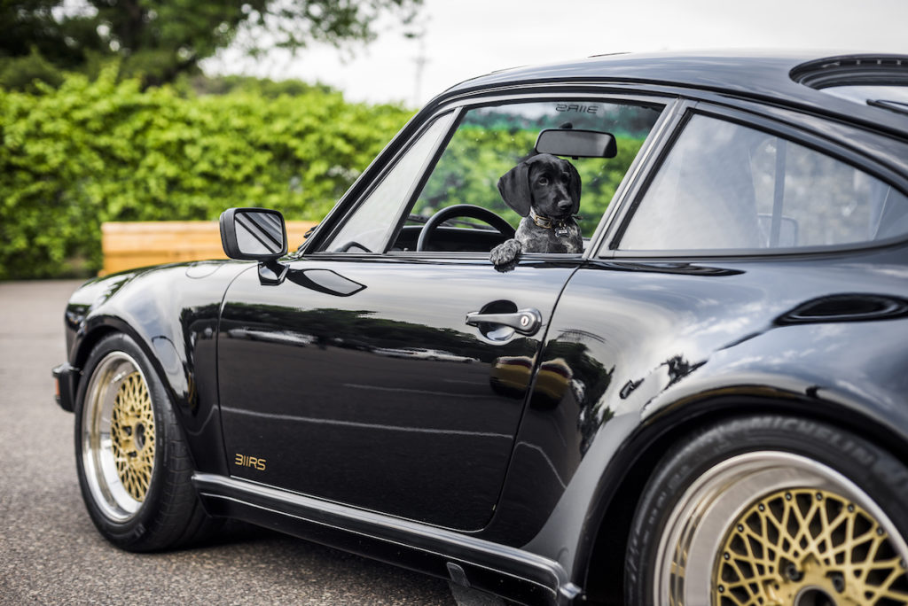 SportscarTogether 311RS Porsche 911 991 997 996 993 930 356 BierGruppe Alex Bellus Bauhaus Brew Labs Minneapolis BBS E88 E50 Michelin Pilot Sport Cup 2 Polar Silver Canon Nikon German Shorthair Pointer